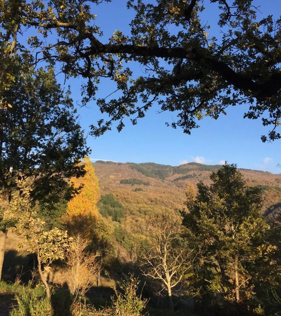 Rocca Di Febbre Villa Pratovecchio